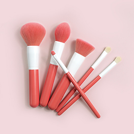 Travel Makeup Brush Set